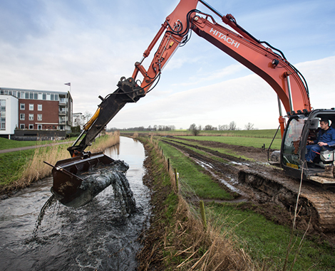 Projectleider gemeente 's Hertogenbosch